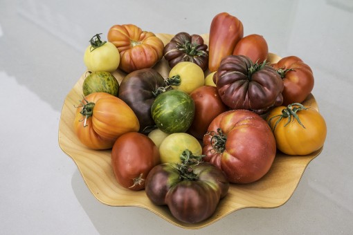 1 Un superbe plateau de tomates 1bis 290816.jpg
