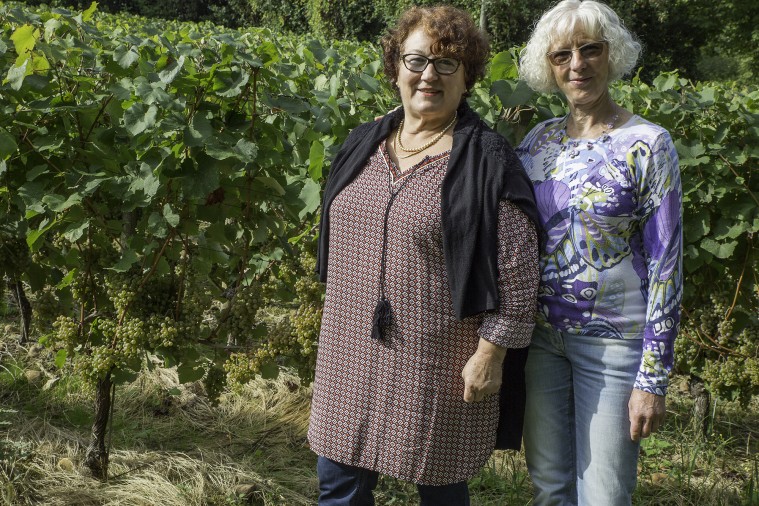 Martine Levaux et Nadine Cauzette debout à la vigne Sabine Laborde 1bis 061016.jpg