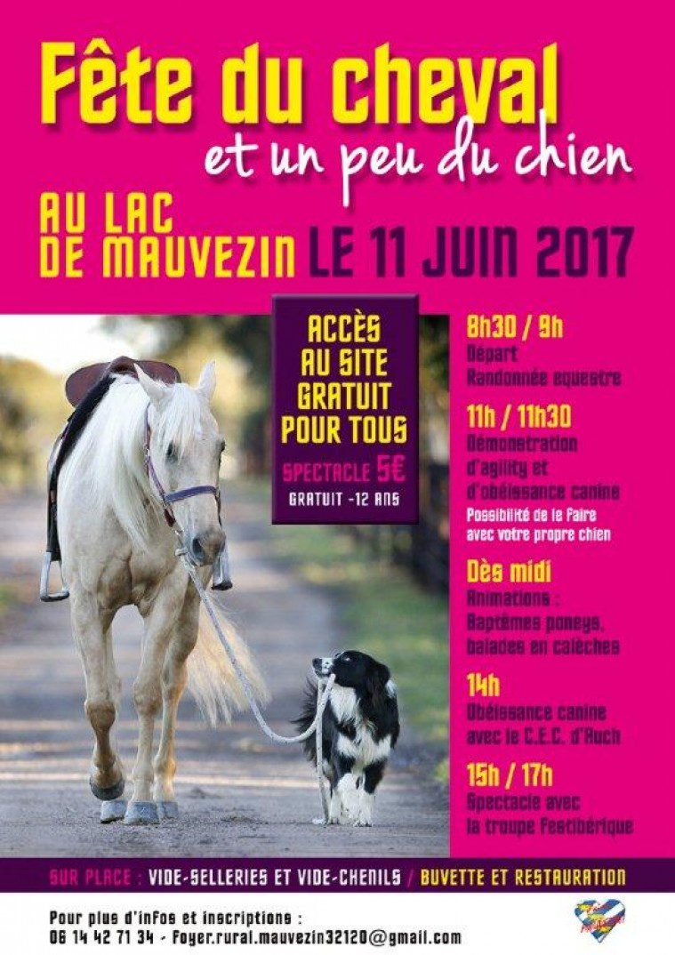 Affiche journée cheval 2017 (2) (1).jpg