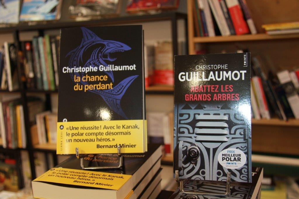 les deux derniers romans de Christophe Guillaumot.JPG