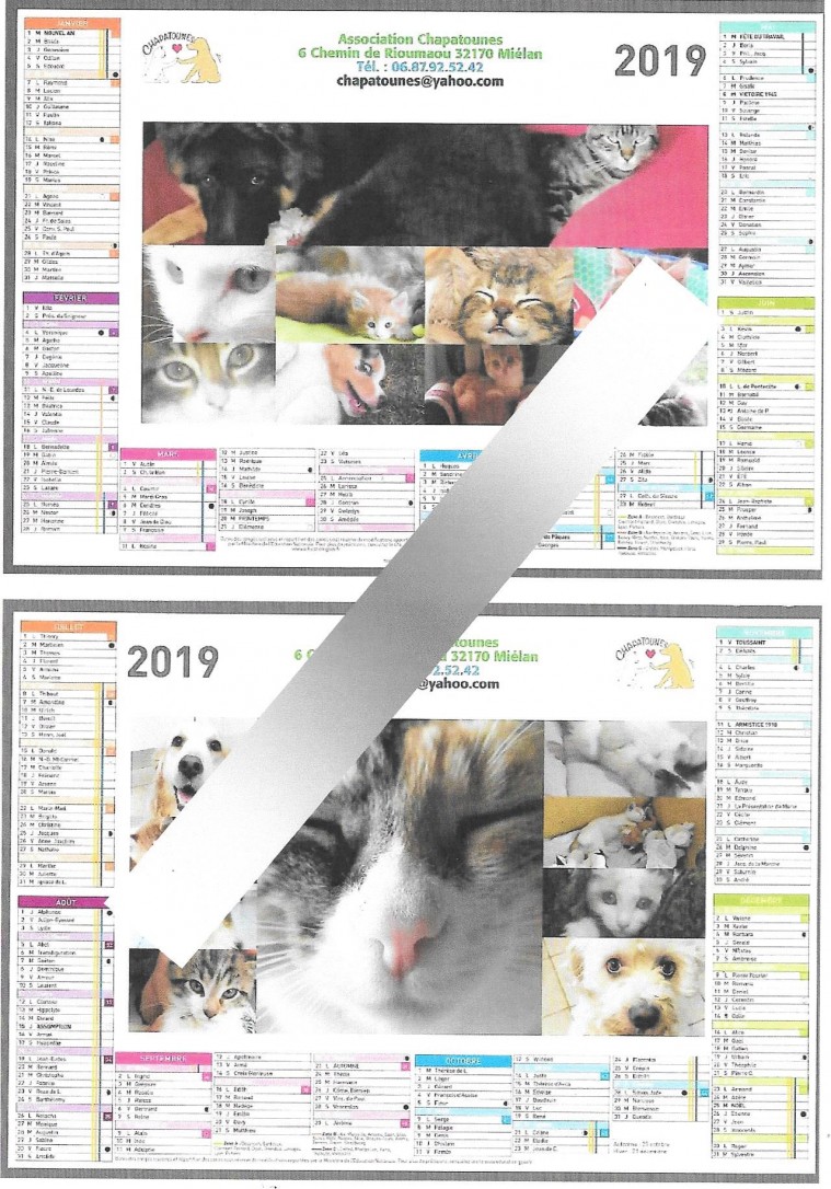 Chapatounes calendrier 2019 Exemple.jpg