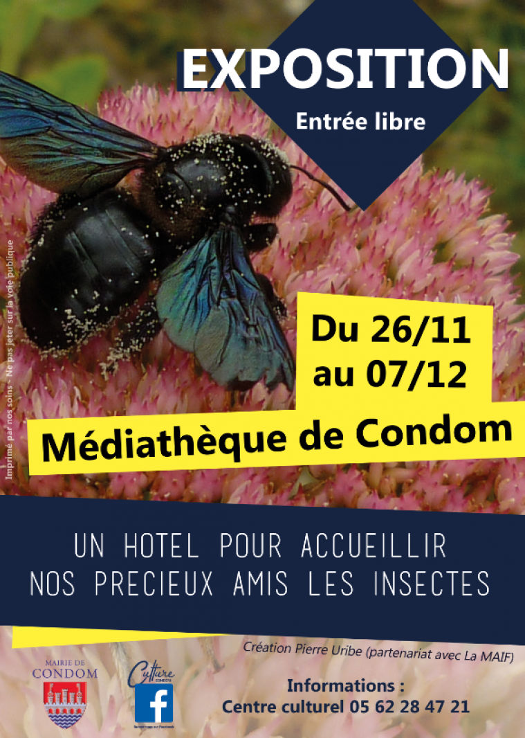 expo-insecte condom.PNG