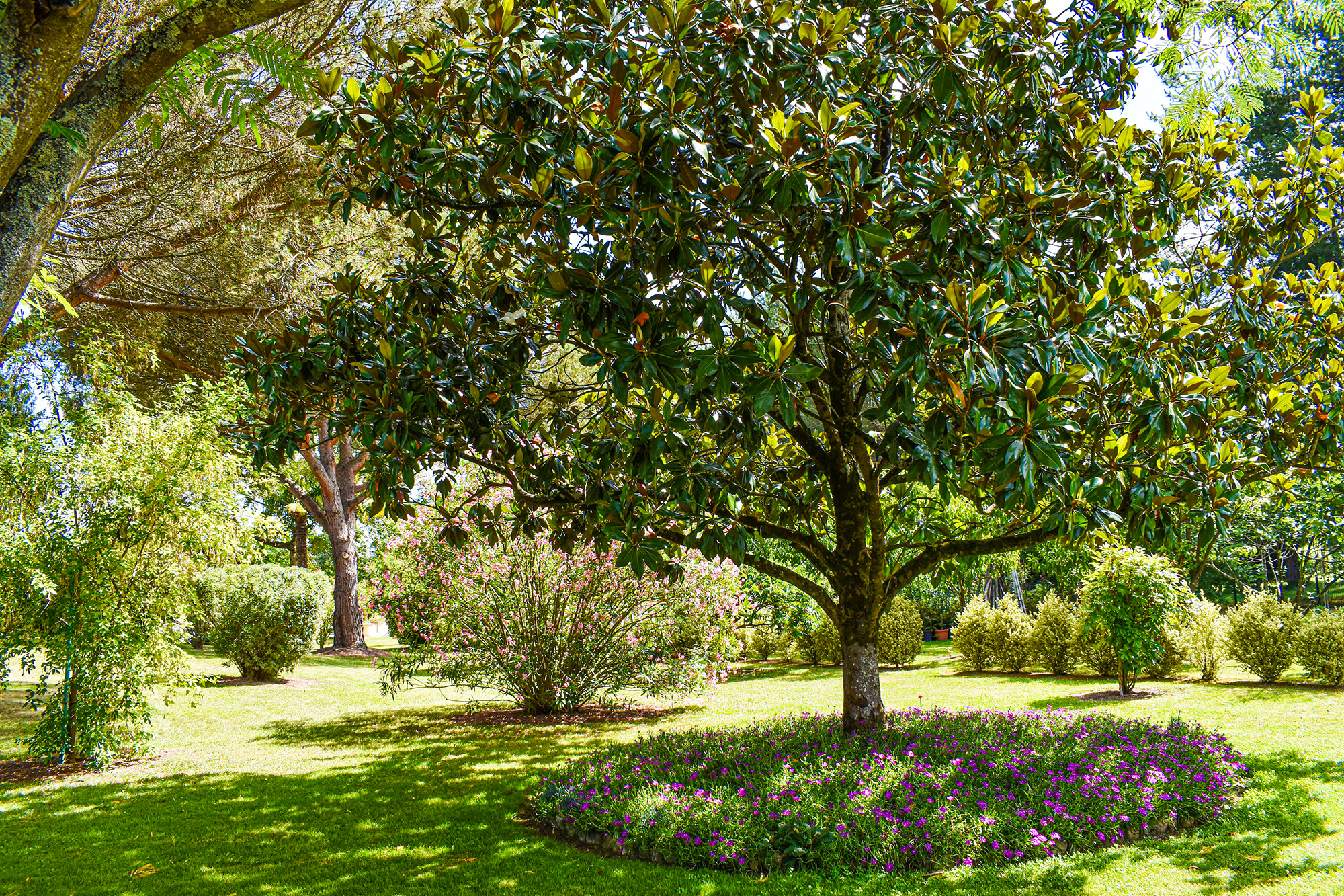 18  DR Maryse Martinot parc arboré jul 1bis 21_.jpg