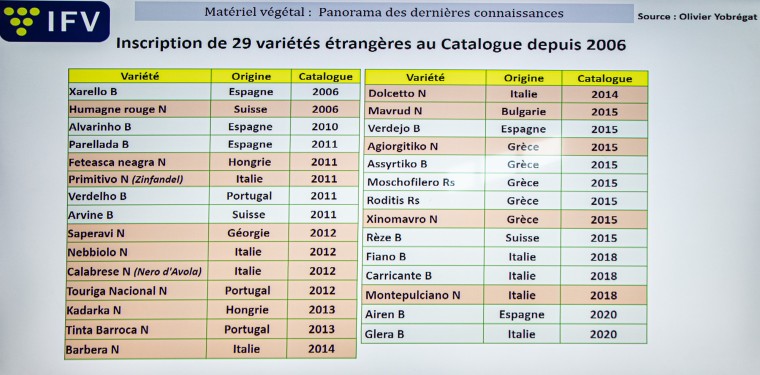 35 Inscription de variétés étrangères Laurent Audeguin1bis 200622.jpg