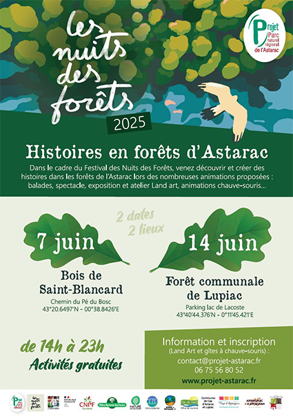 nuits forets.jpg
