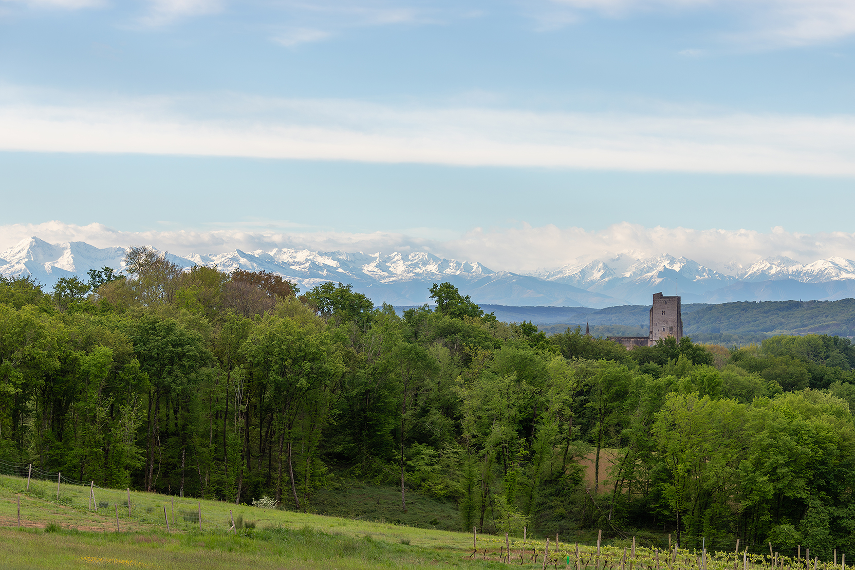vue sur la tour de Termes et les Pyrénées