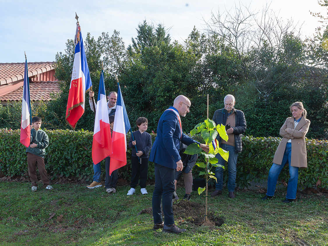 Thibault Renaudin plante l'arbre de la paix