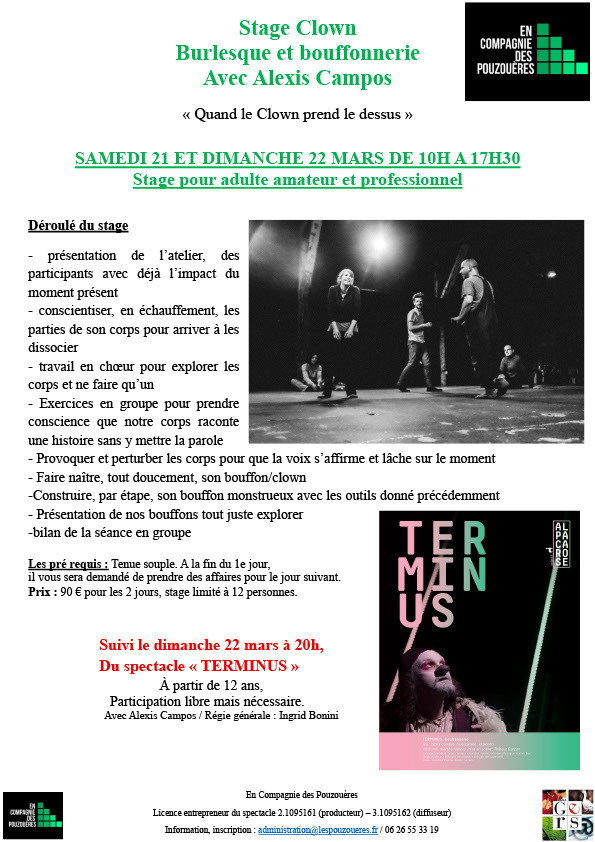 stage Bouffon-burlesque-fiche-information