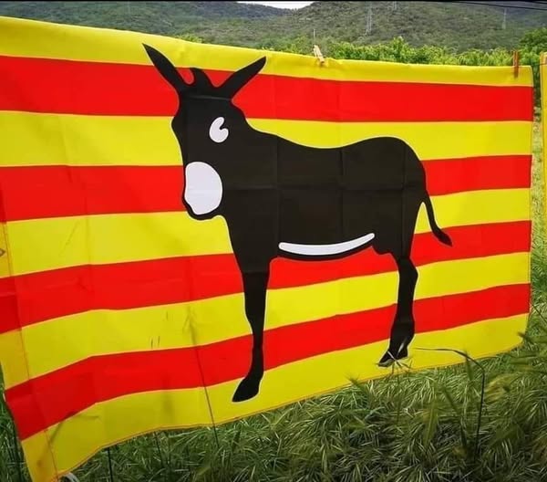 CATALOGNE