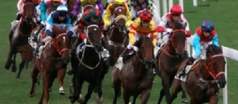 CAZAUBON Réunion hippique