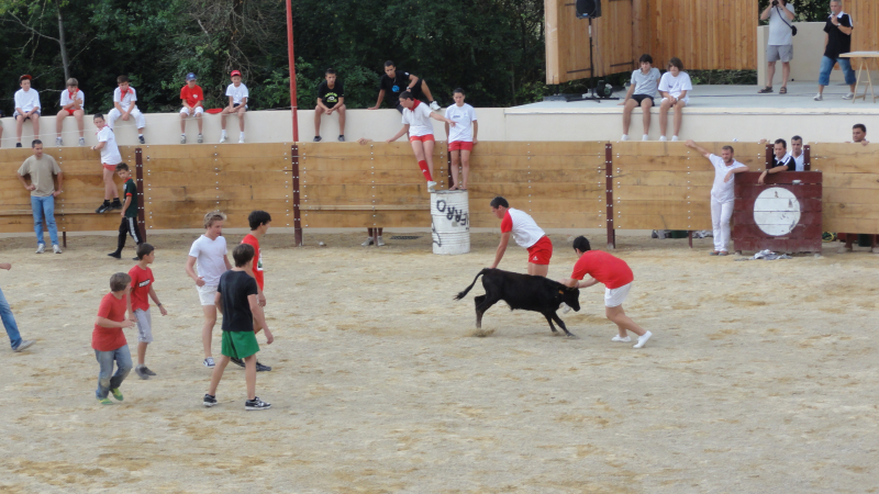 SEISSAN Le village en fête
