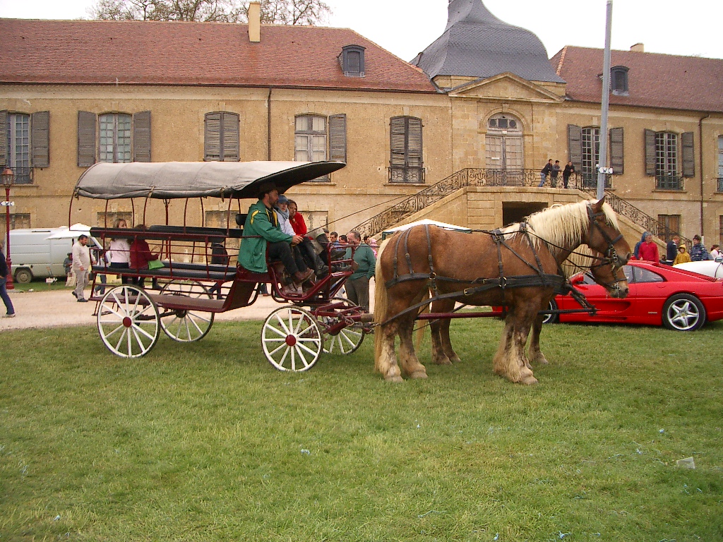 IMGP3486.JPG
