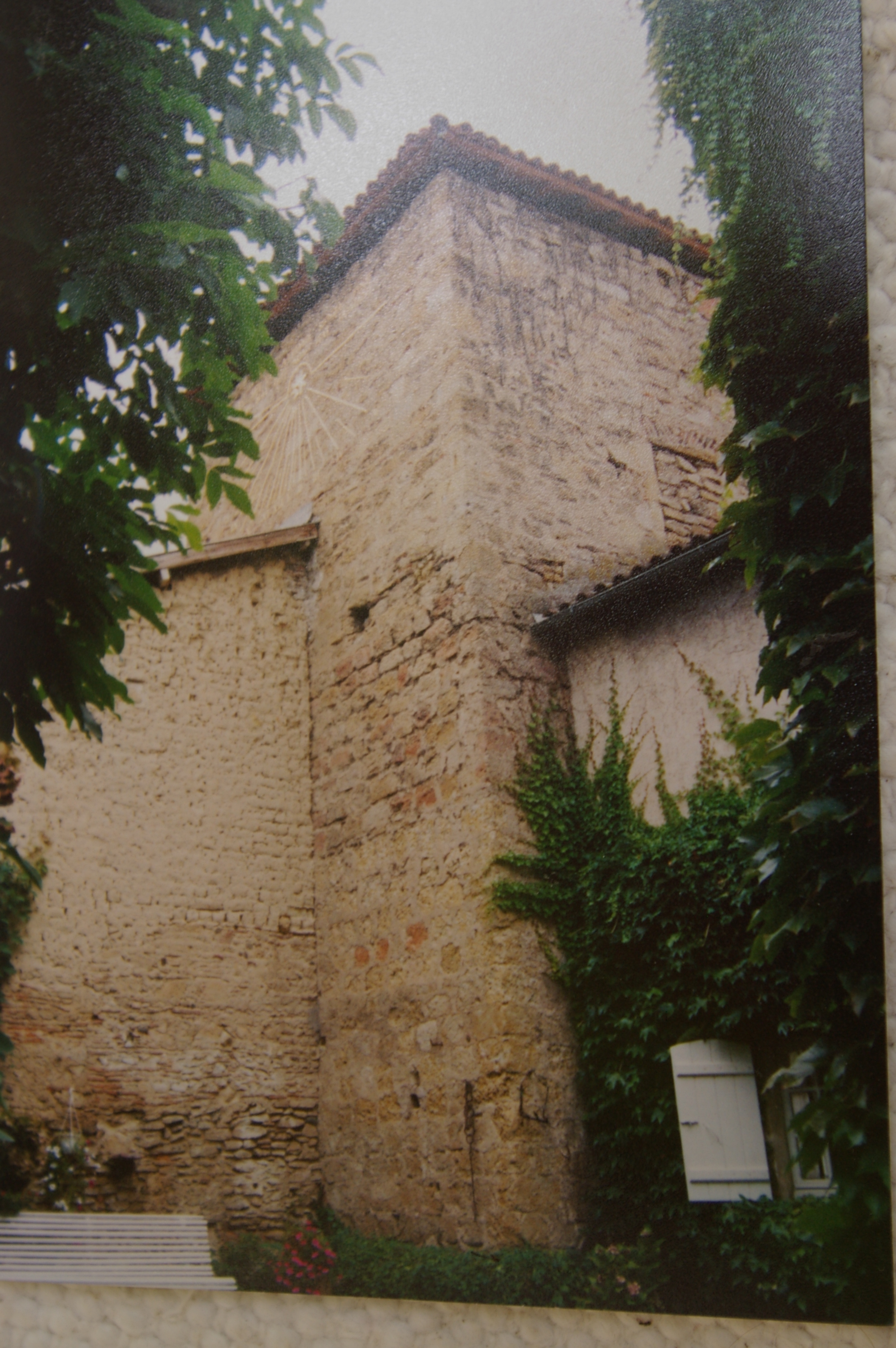 IMGP1880.JPG