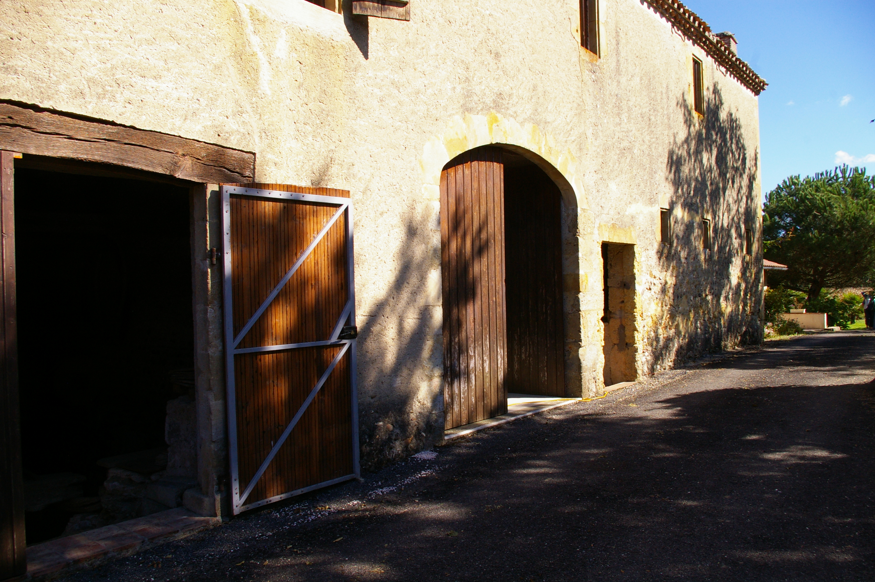IMGP1569.JPG