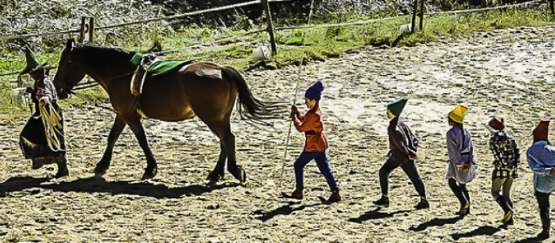 Succès de la Fête du cheval à Benquet