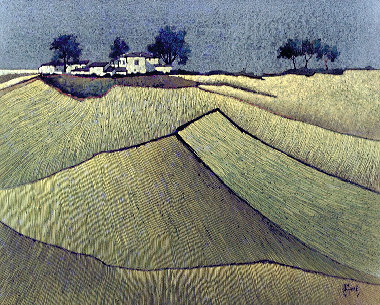 maurel -champs_de_colza.jpg