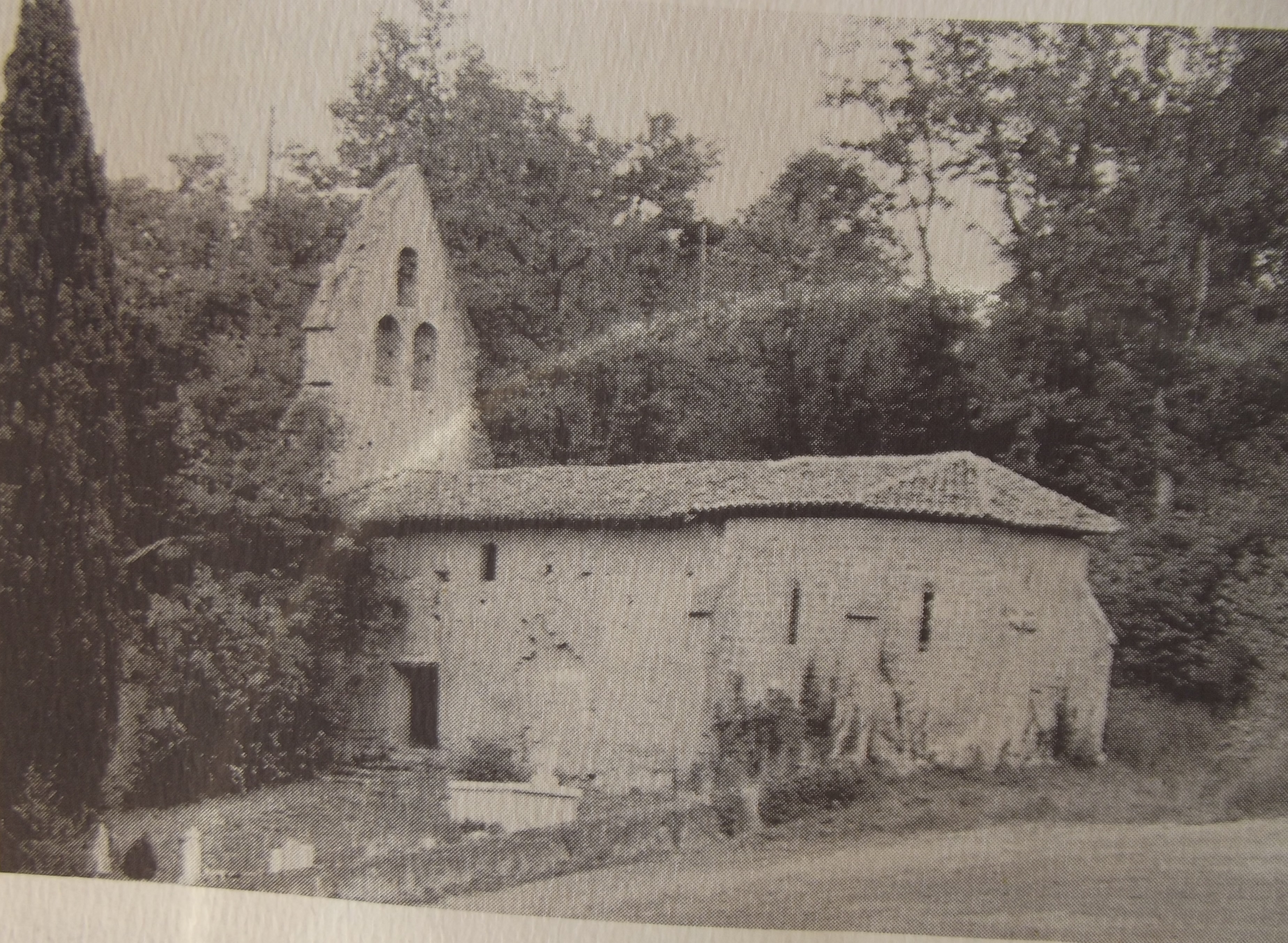 DSCF2846.JPG