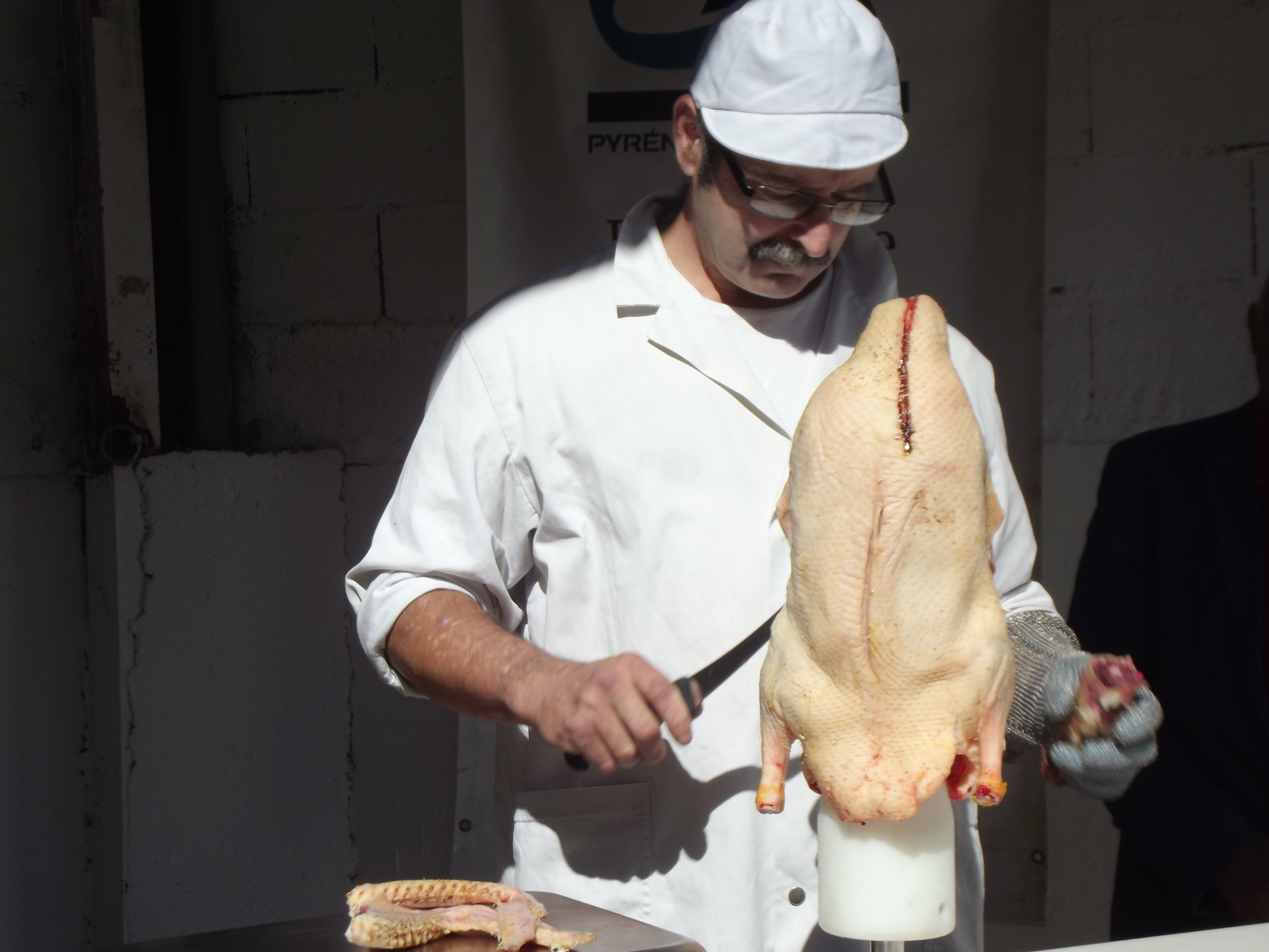 DSCF2808.JPG