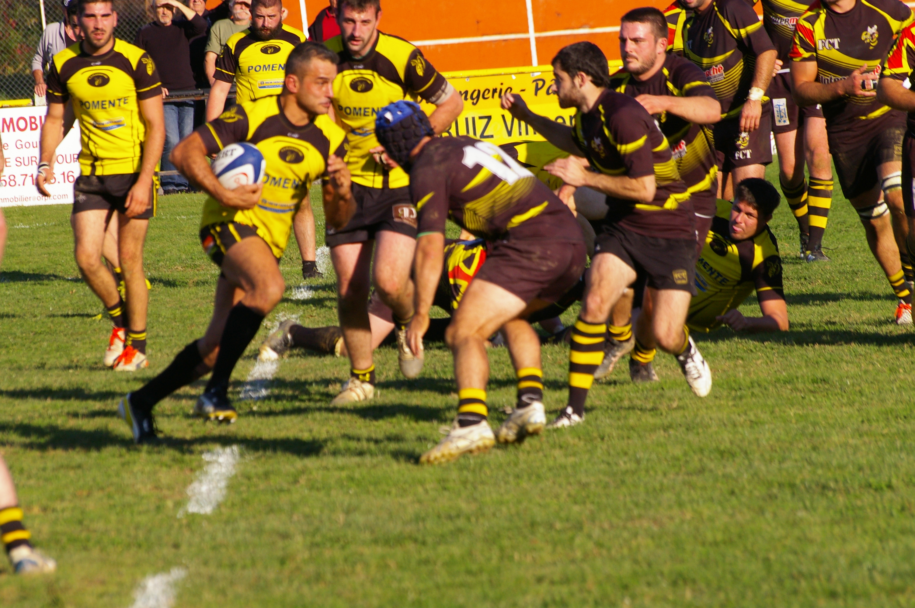 IMGP1676.JPG