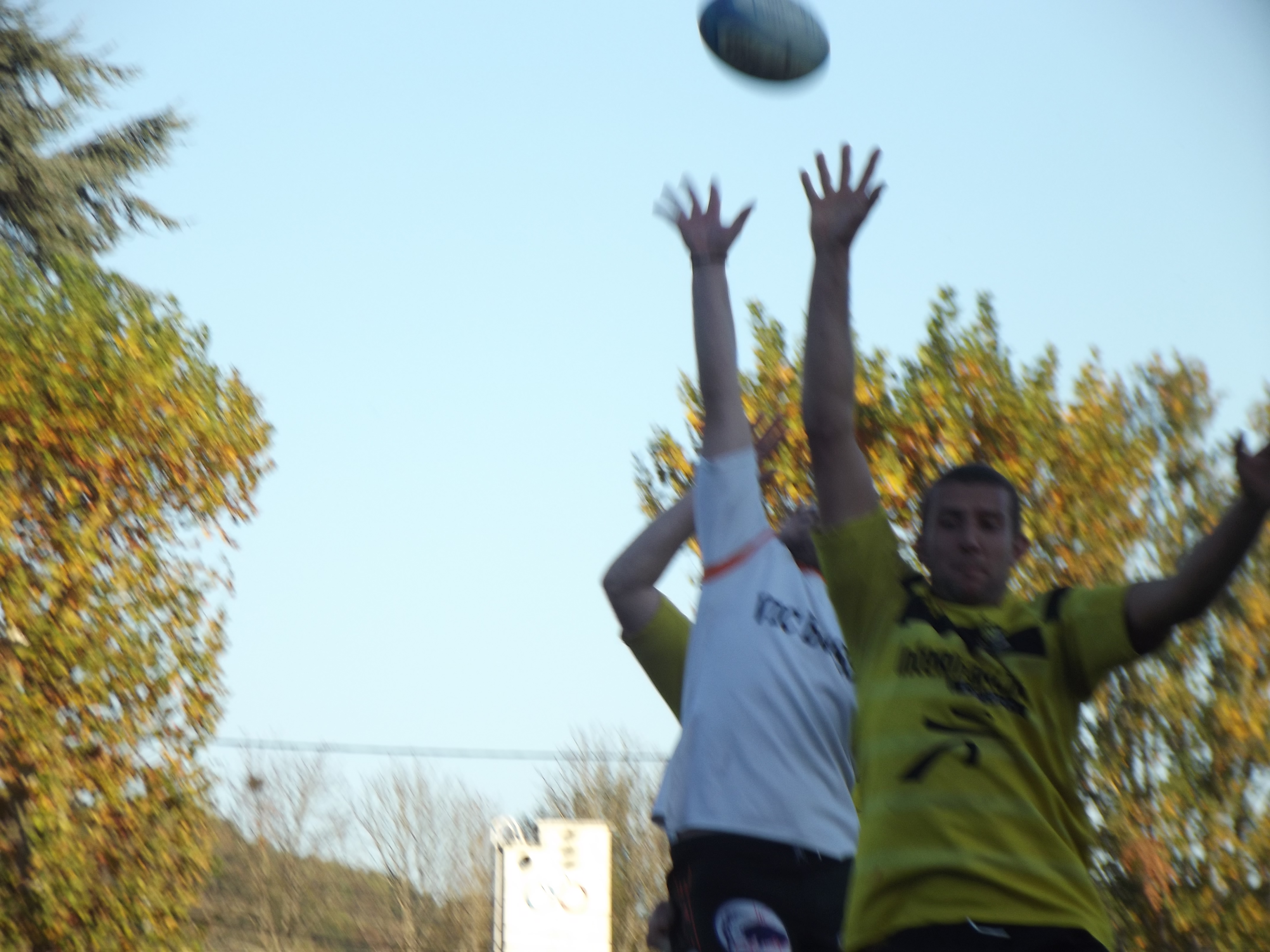 DSCF2950.JPG