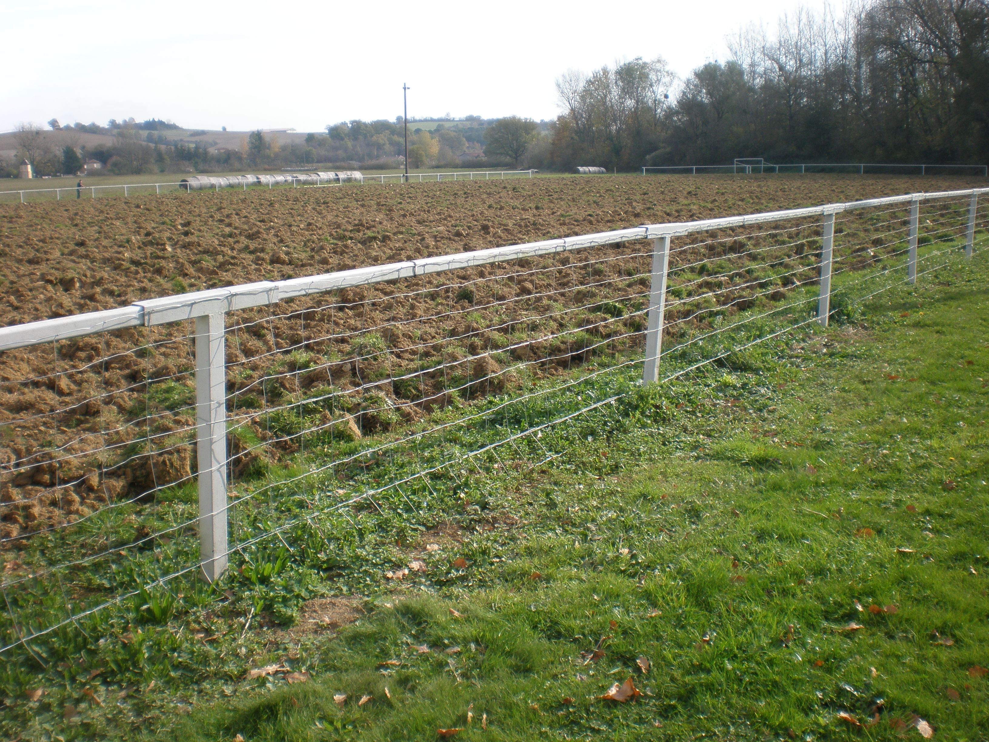 PA230002.JPG