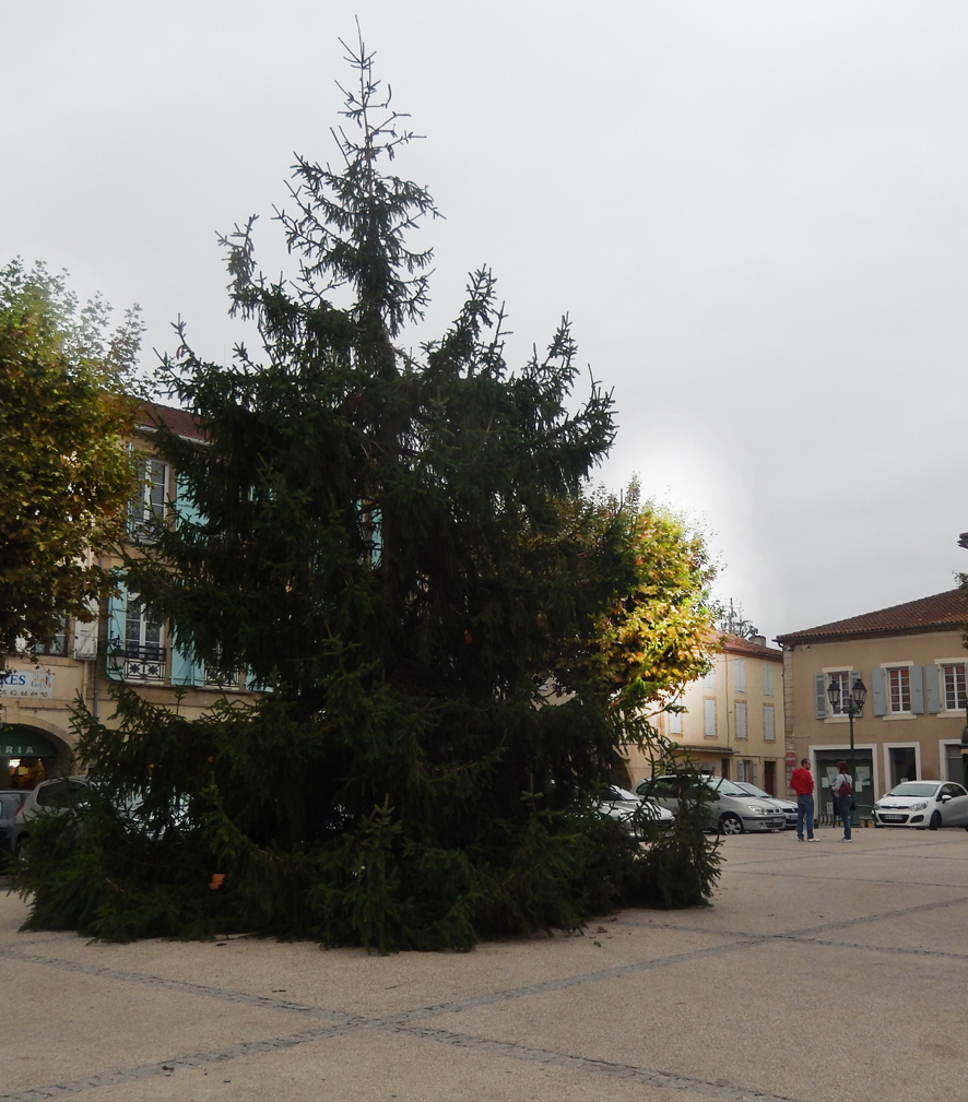 DSCN0876.JPG