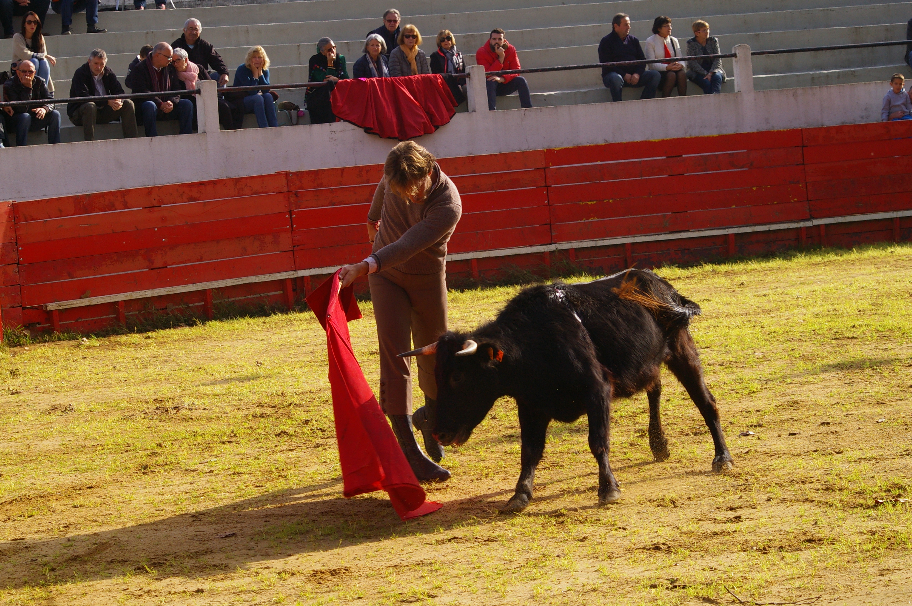 IMGP1714.JPG