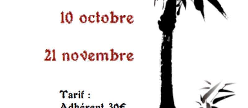 L'ISLE-JOURDAIN -  MJC  -