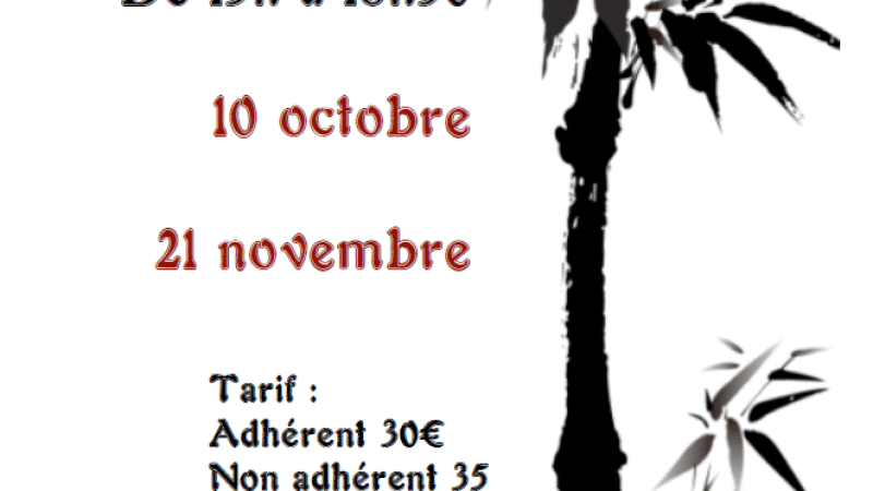 L'ISLE-JOURDAIN -  MJC  -