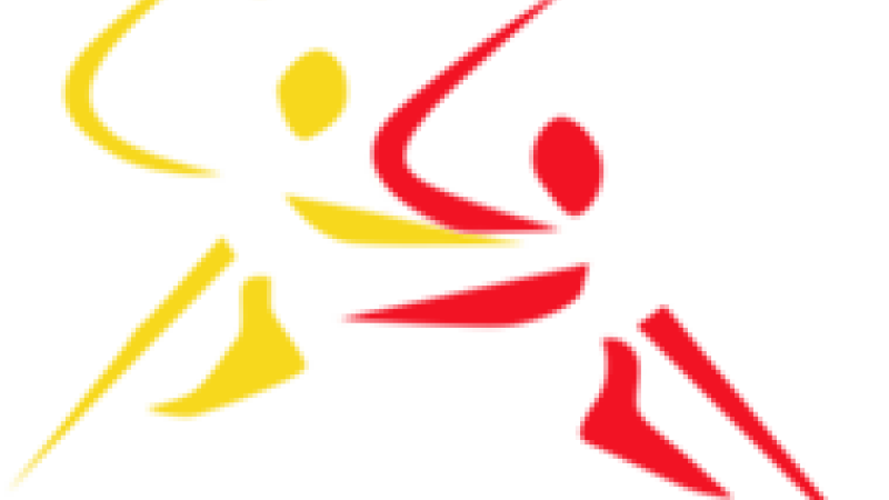 L'ISLE-JOURDAIN  -  HANDBALL  -