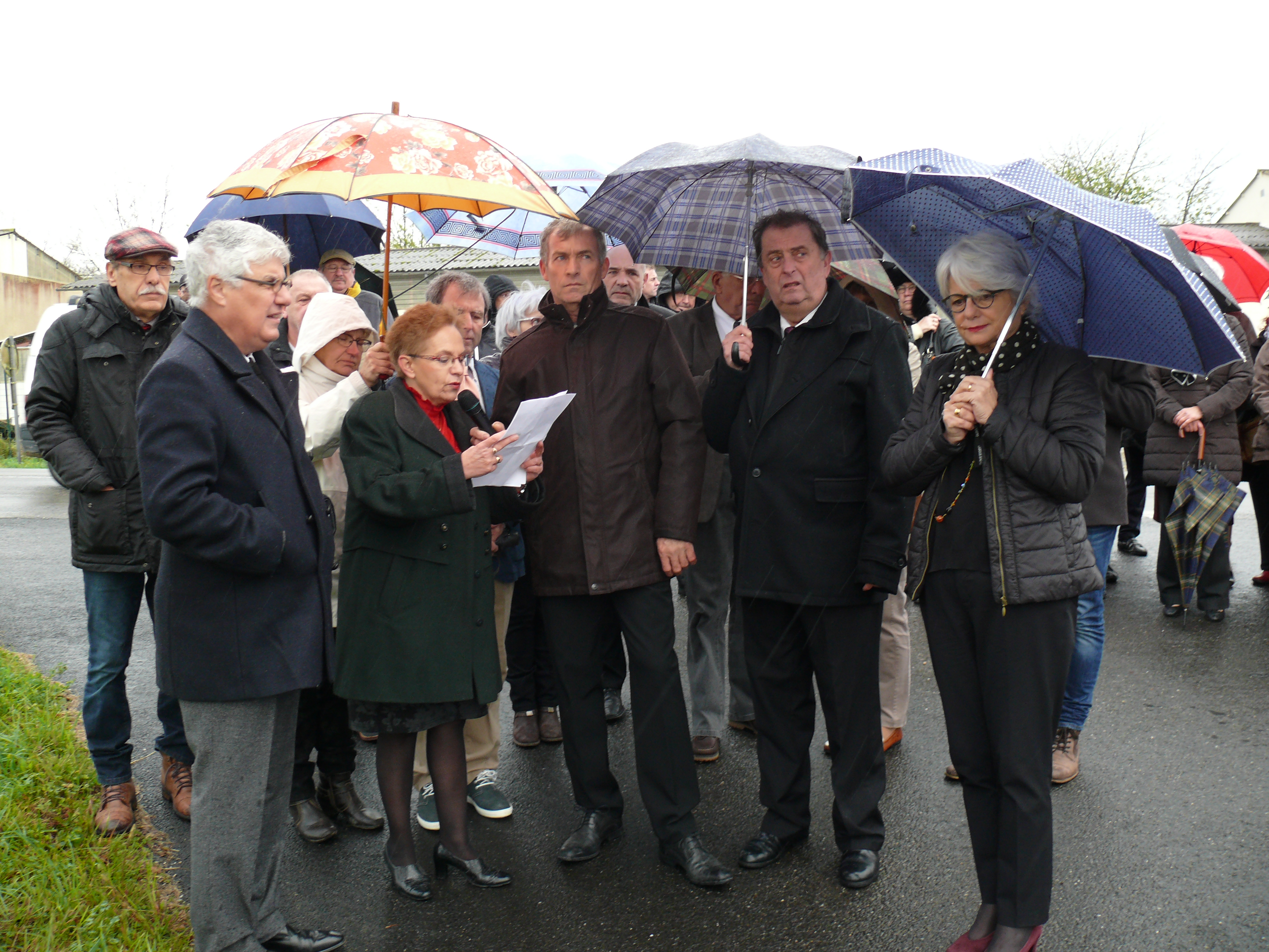 P1210736.JPG