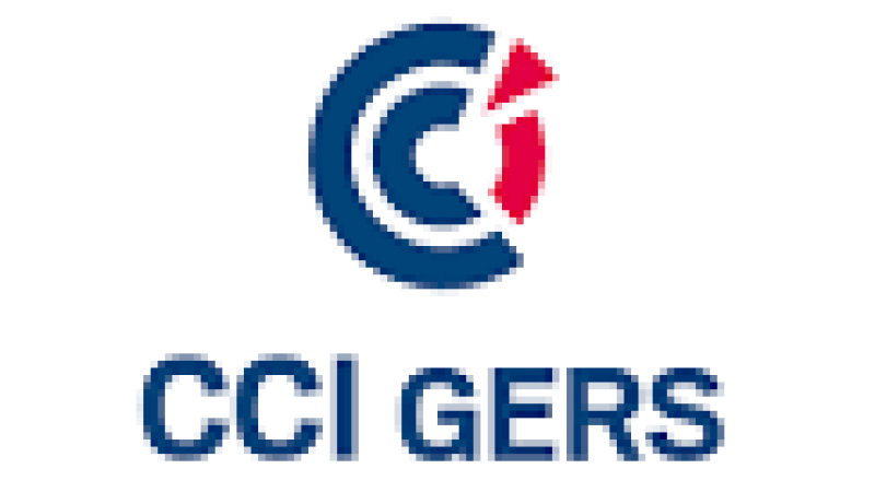 CCI Actualités fiscales 2015 