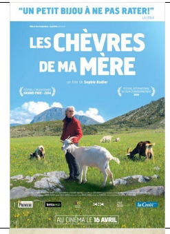 cinema photp2.jpg
