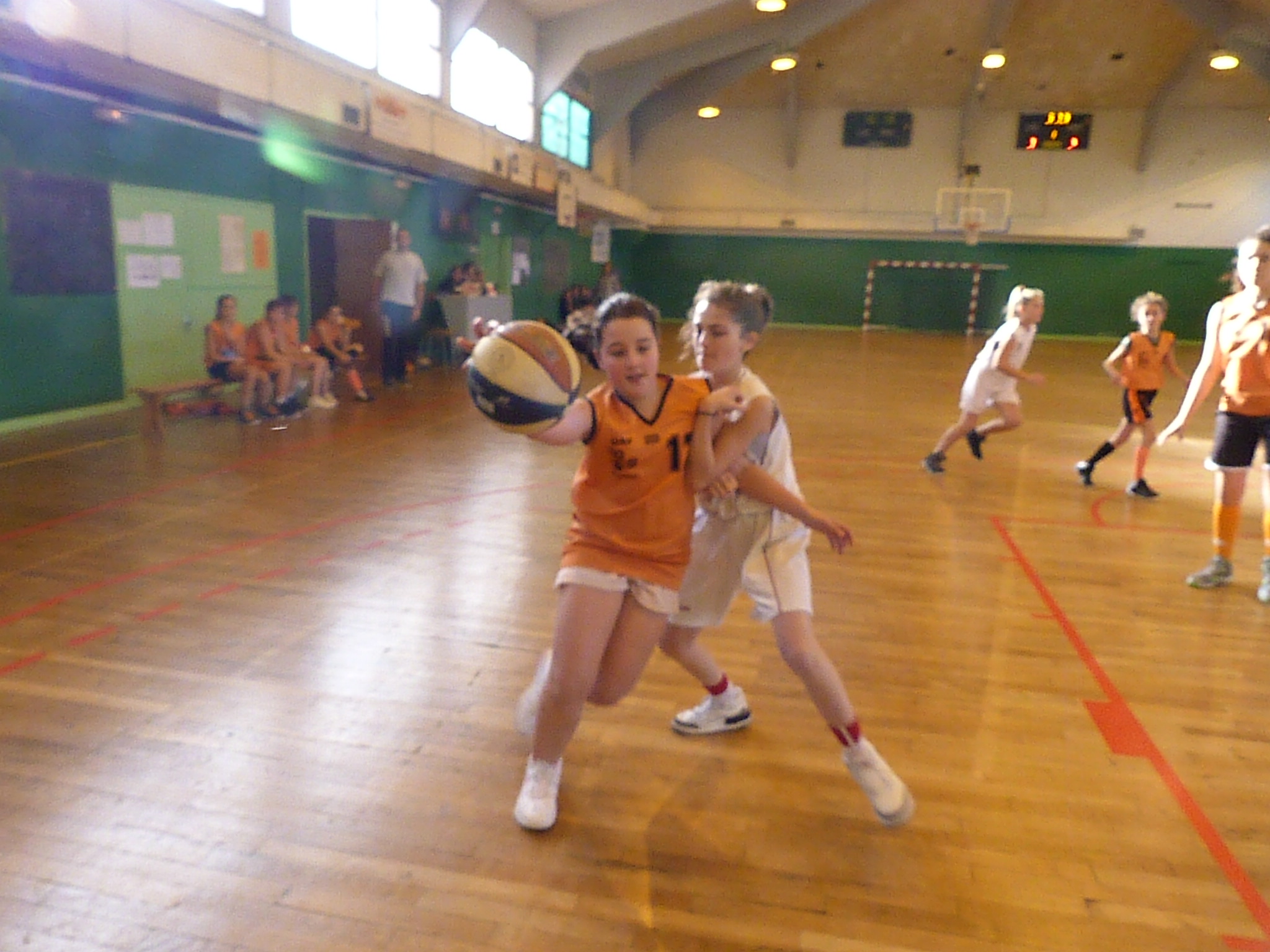 P1190038.JPG