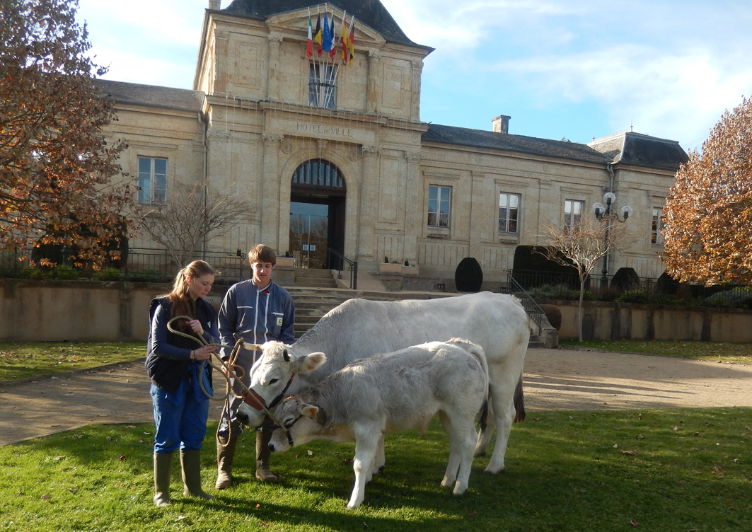 DSCN1069.JPG