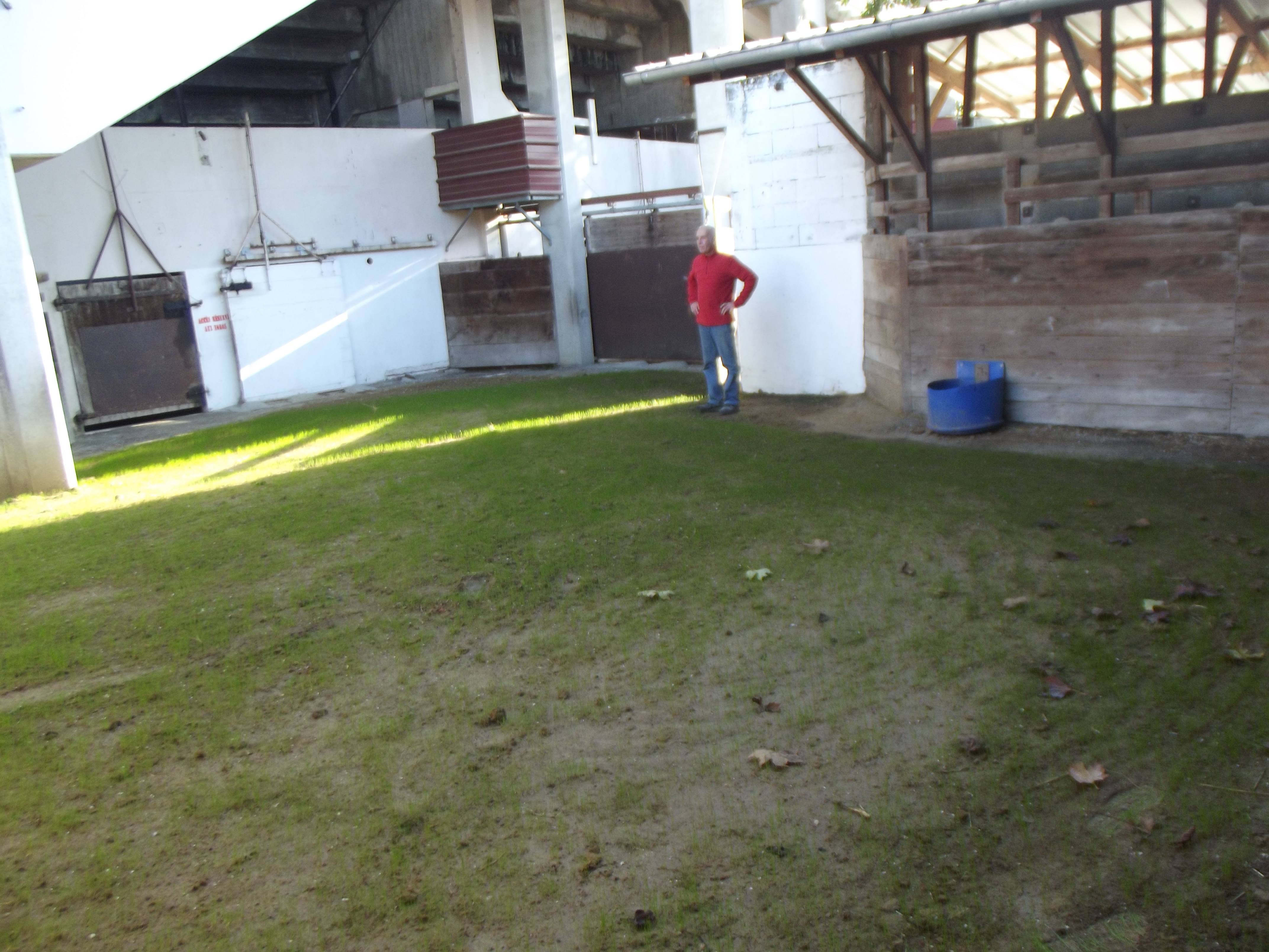 DSCF3083.JPG