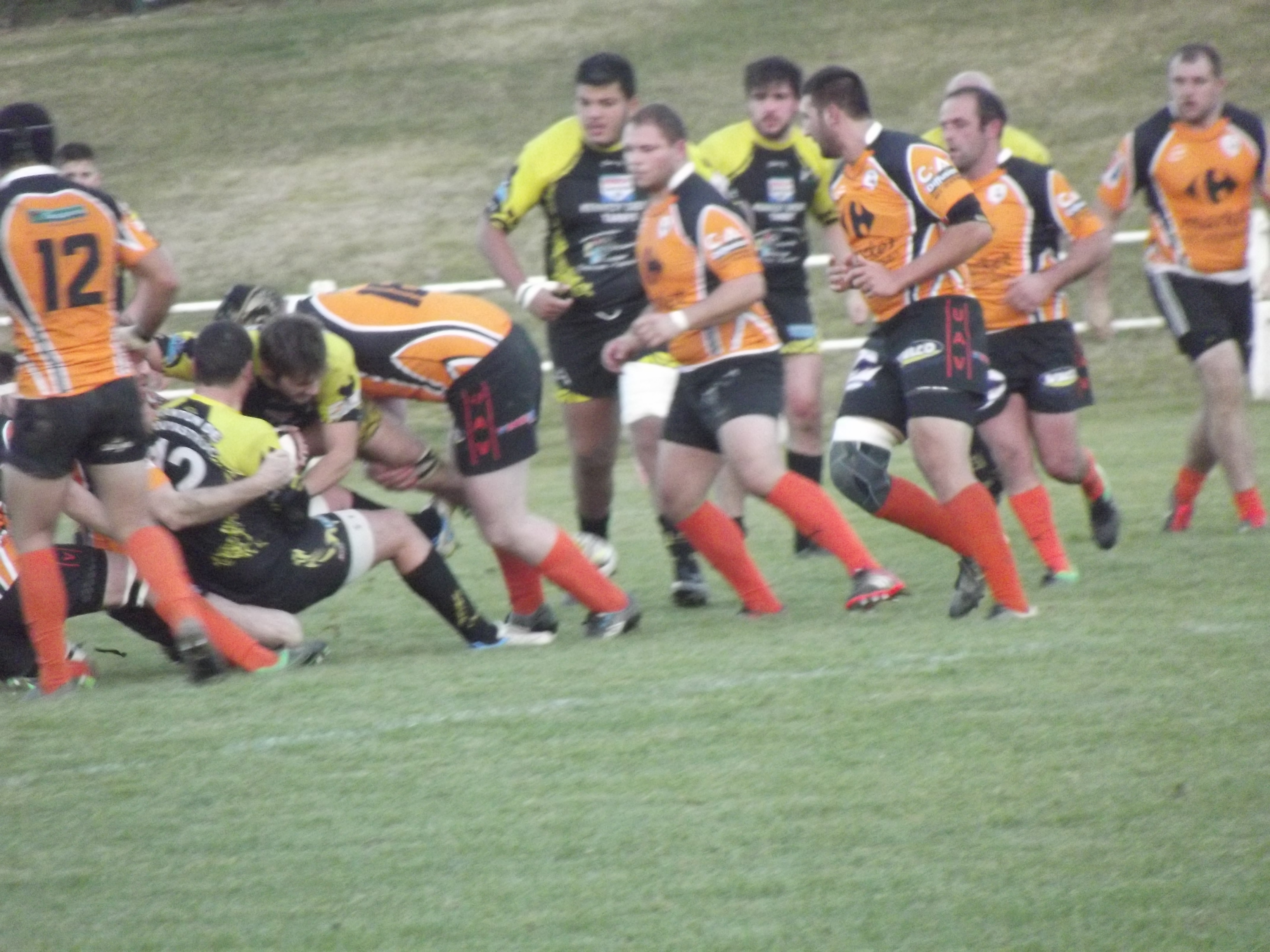 DSCF3103.JPG