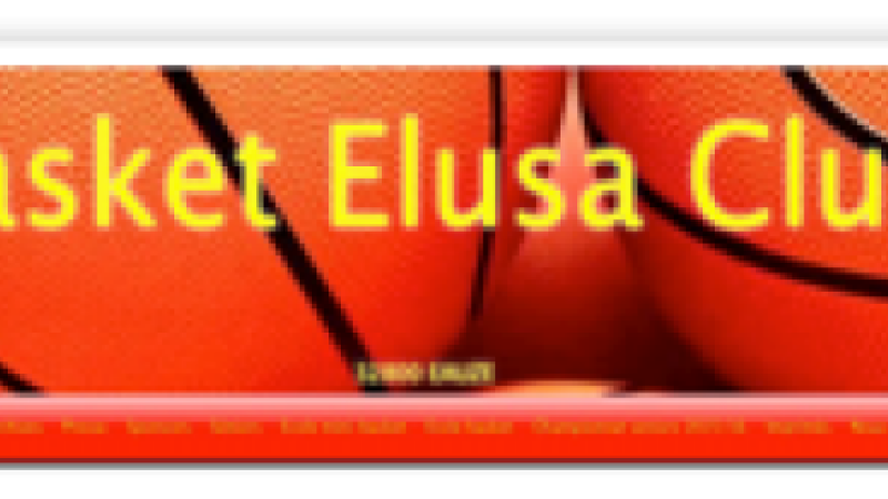 BASKET-BALL Eauze champion des Pyrénées