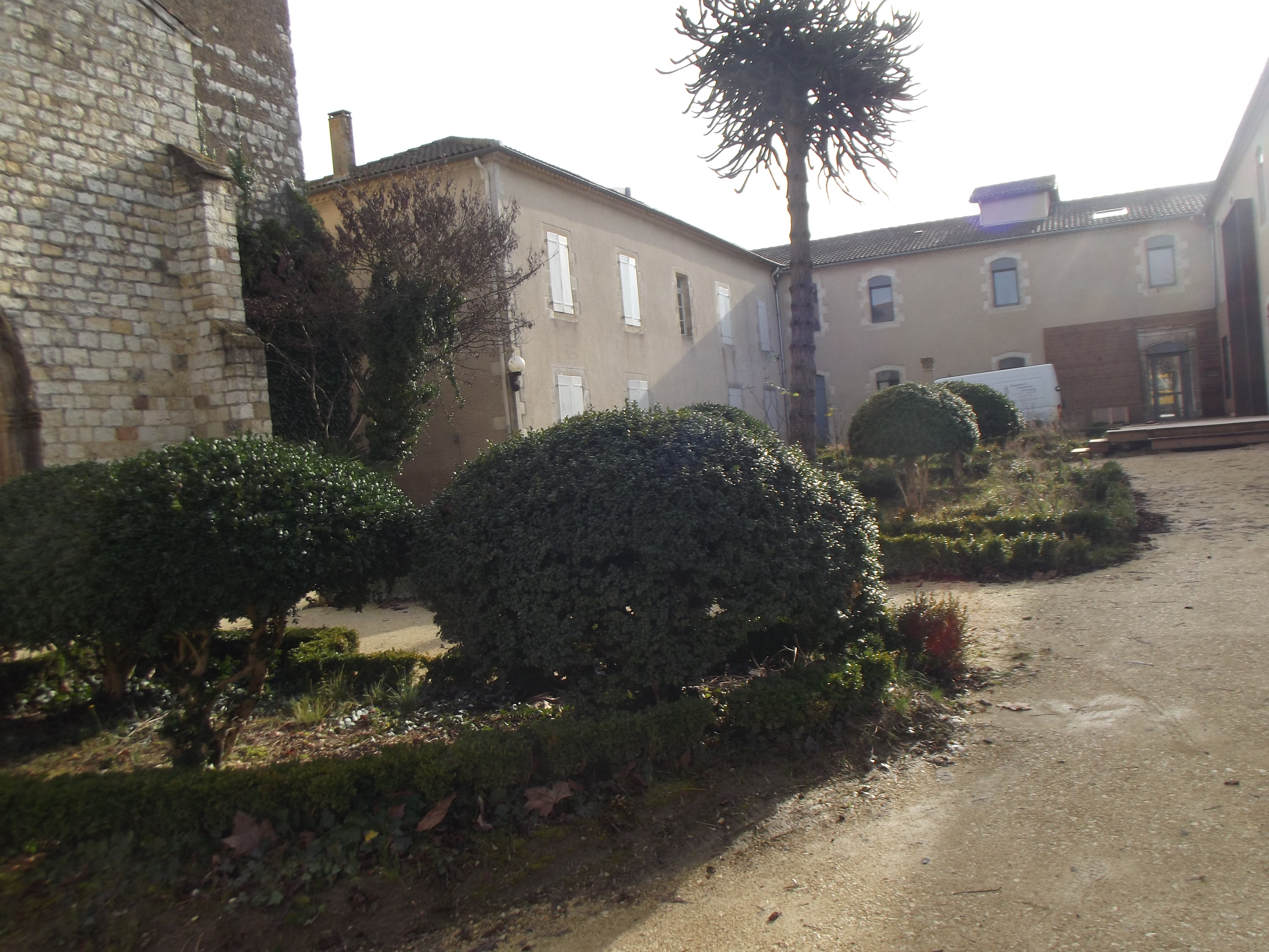 DlSCF3151.JPG