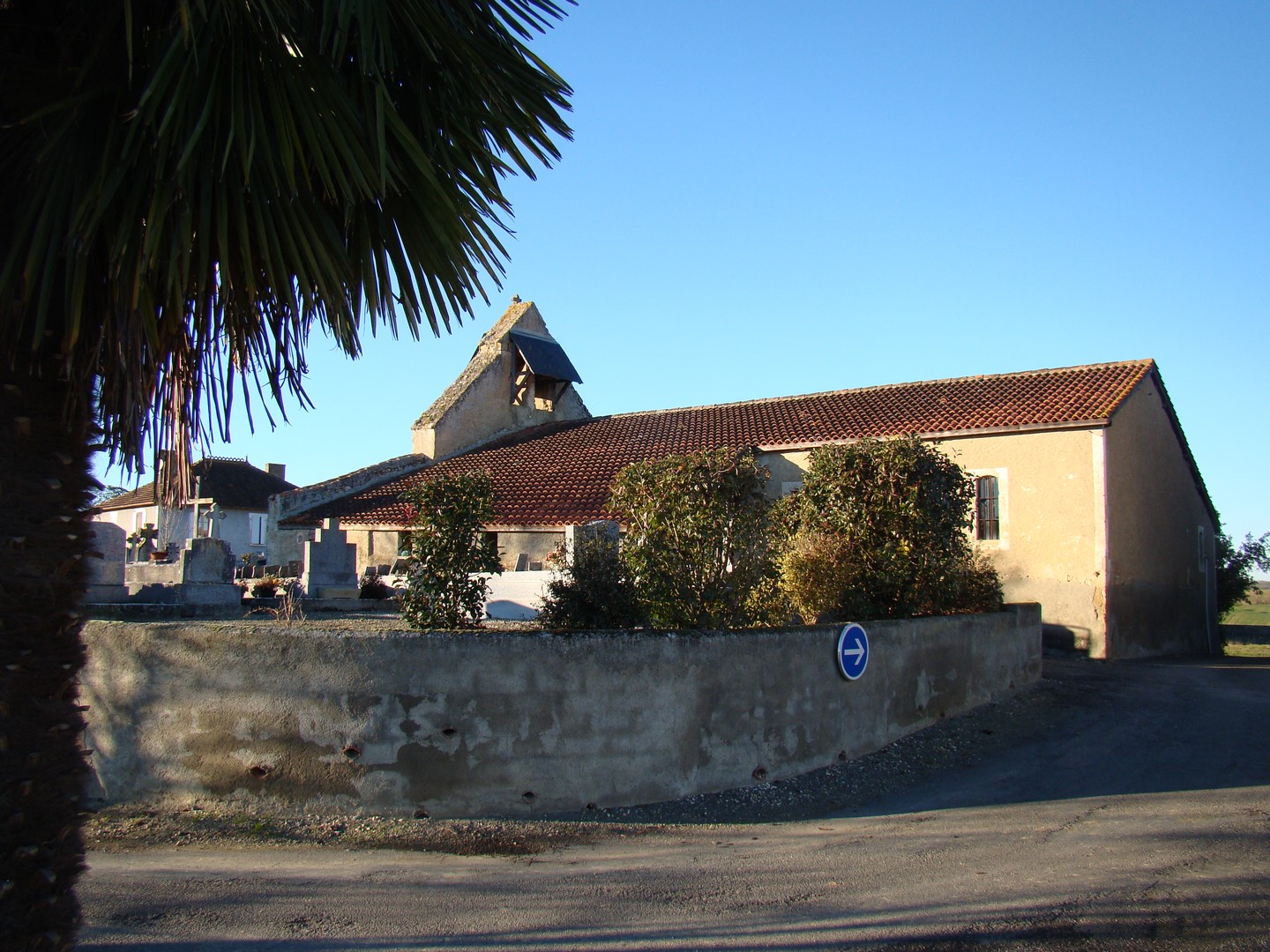 DSC00329 - Copie (Copier).JPG