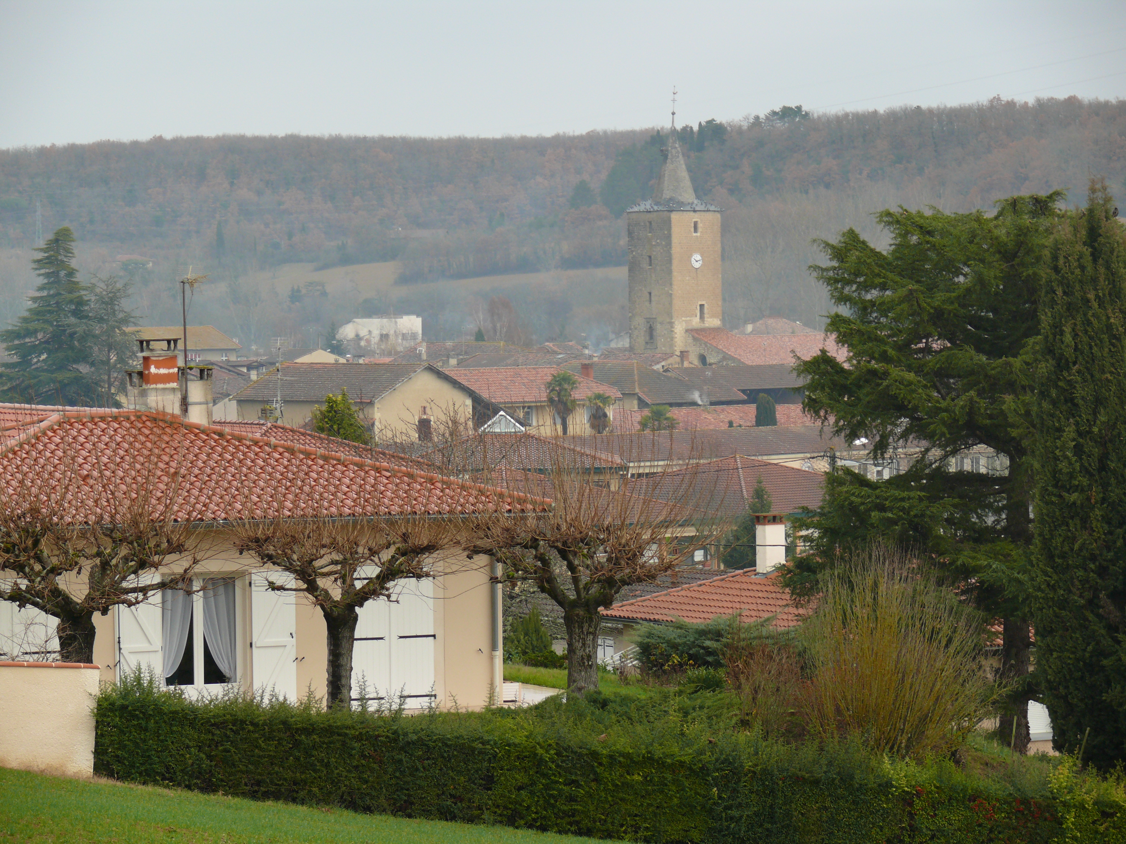 PAVIE.JPG