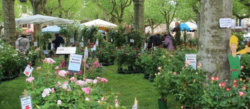 Fourcès : Arrebiscoula dévoile son 41e Marché