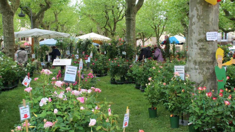 Fourcès : Arrebiscoula dévoile son 41e Marché