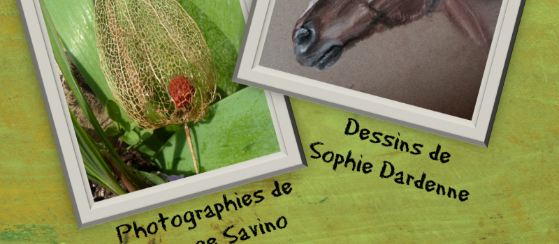 SAMATAN  /  EXPOSITION