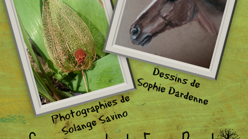 SAMATAN  /  EXPOSITION