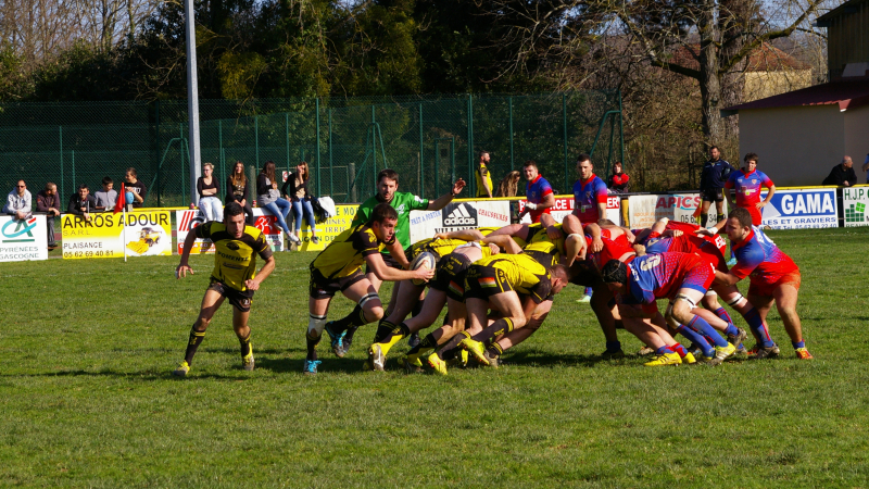 Les échos du rugby
