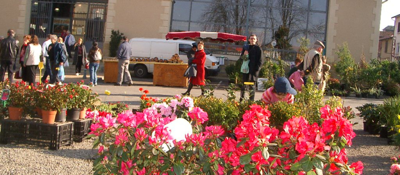 Week end plein d'animations