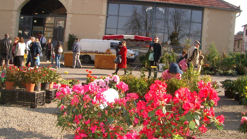 Week end plein d'animations