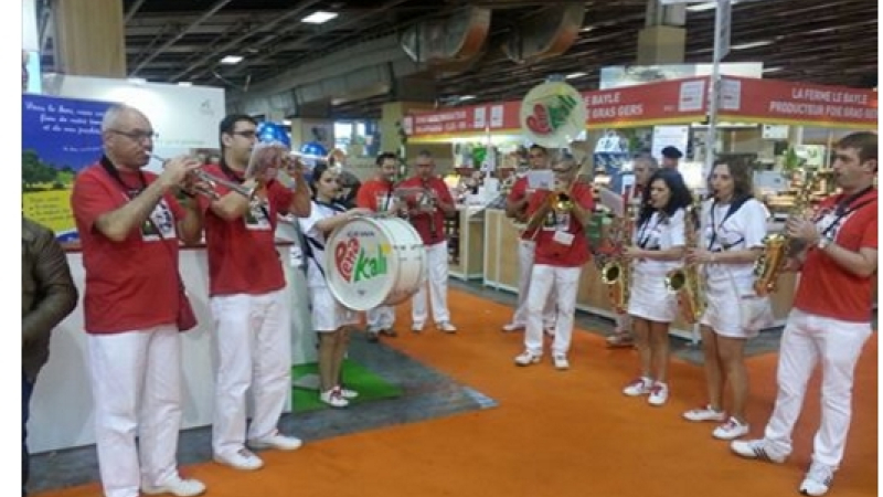 FESTIVAL BANDAS AU SALON