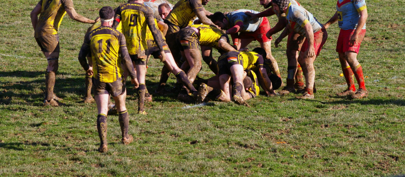 Echos du Rugby 